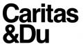 Logo Caritas der Erzdiözese Wien 