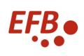 ERBER Future Business GmbH